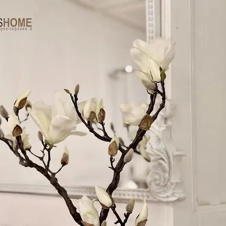 Apartment Traditional Old Town In Perfect Location *