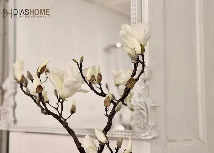 Apartament Traditional Old Town In Perfect Location *